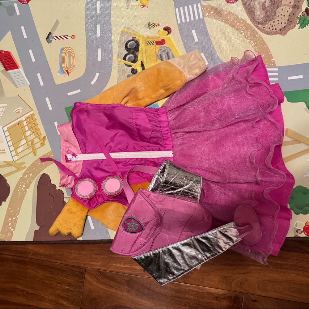 Paw Patrol Skye Costume - Pink and Silver